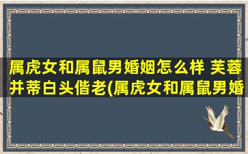 属虎女和属鼠男婚姻怎么样 芙蓉并蒂白头偕老(属虎女和属鼠男婚姻如何？相敬如宾芙蓉并蒂白头偕老)